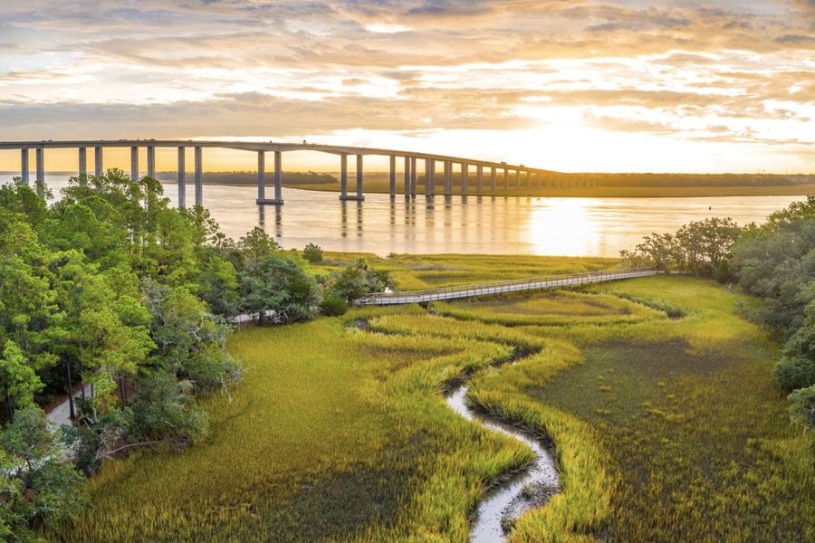 Natural landscape and outdoor views near  in Charleston (Image 69).