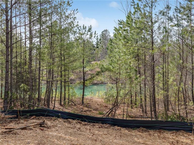 Natural landscape and outdoor views near in Dallas (Image 40). Natural landscape and outdoor views near in Dallas (Image 40).