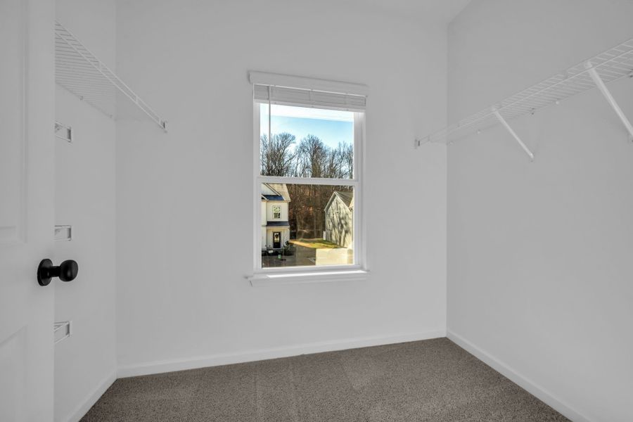 Spacious, unfurnished interior of a new home in Ironhorse, Dickson (Image 28).