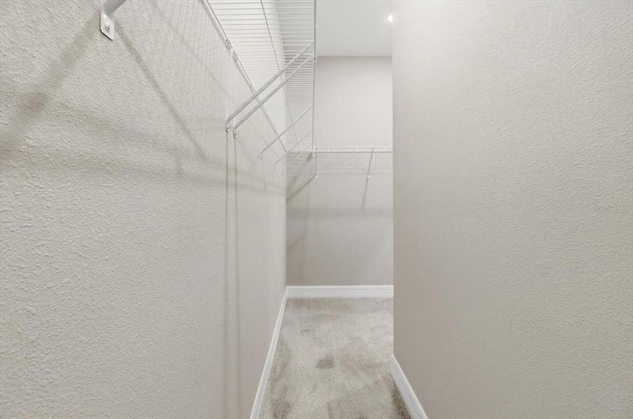 Spacious, unfurnished interior of a new home in , Ocala (Image 30).