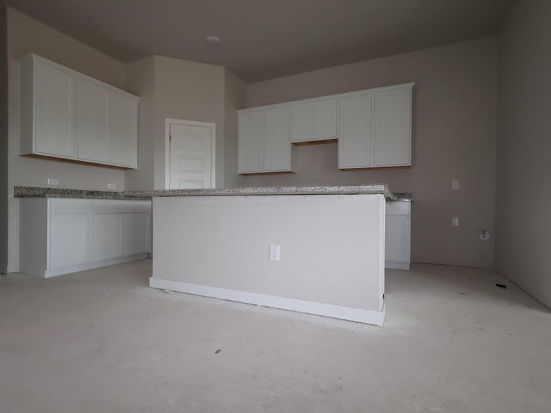 In-progress construction of a new home in Willow Springs, Buda, TX (Image 9).