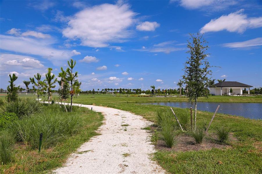 Natural landscape and outdoor views near Skye Ranch Community Group Page in Sarasota (Image 57).
