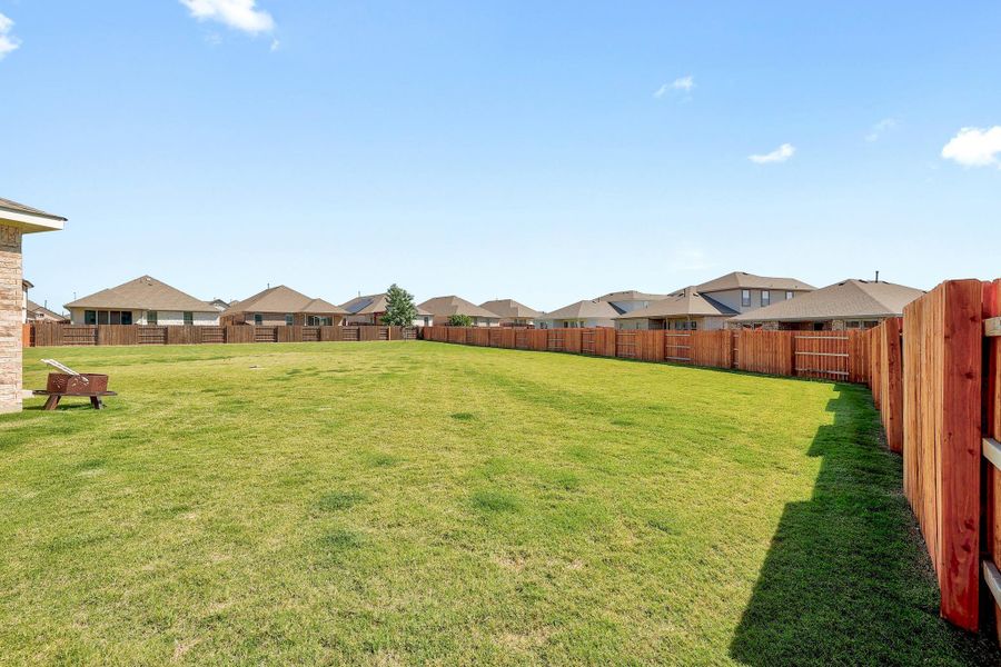 Expansive green lawn with a full wooden privacy fence Expansive green lawn with a full wooden privacy fence