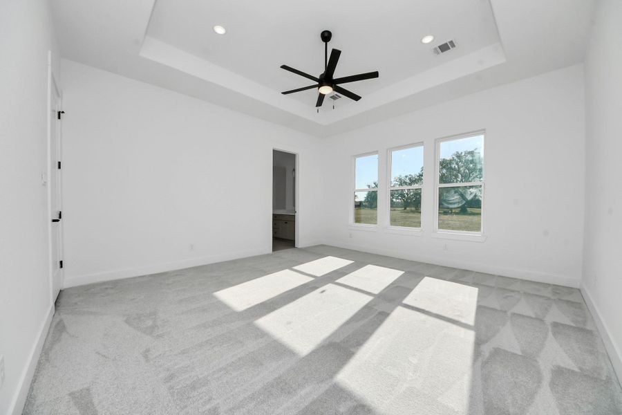 Primary suite with architectural ceiling