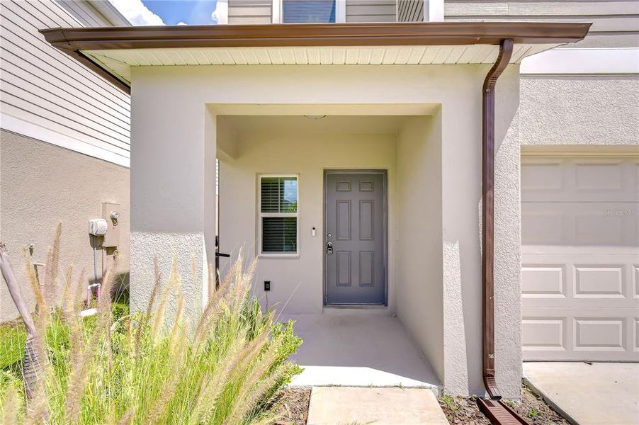 Exterior details and patio area of a home in Pasadena Point, Wesley Chapel (Image 25).