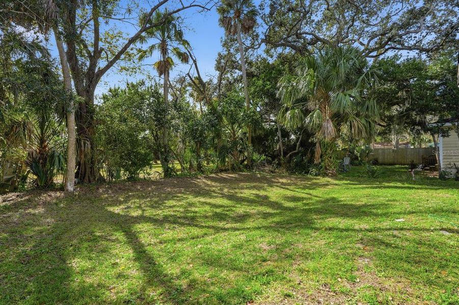 Natural landscape and outdoor views near in Daytona Beach (Image 27). Natural landscape and outdoor views near in Daytona Beach (Image 27).