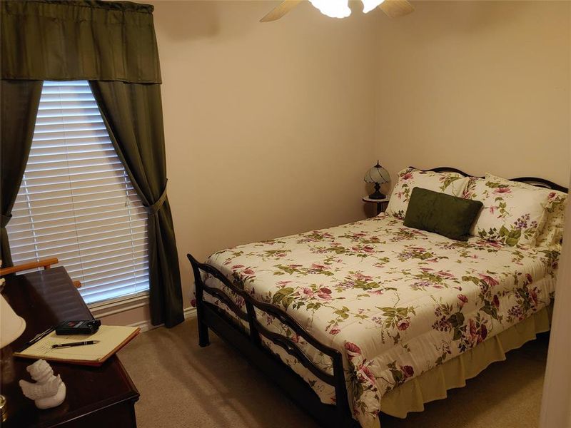 Room featuring a window with horizontal blinds and green drapes, wall-to-wall carpeting, and a ceiling fan with light fixture