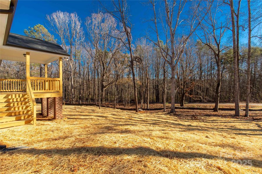 Exterior details and patio area of a home in , Rock Hill (Image 16).