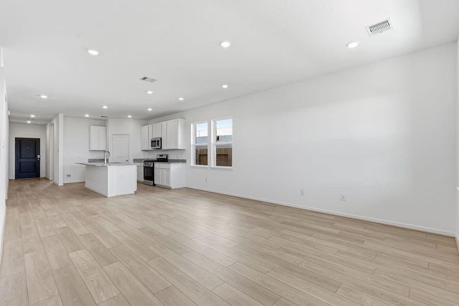 615 Yaupon Holly ~ Ready Now