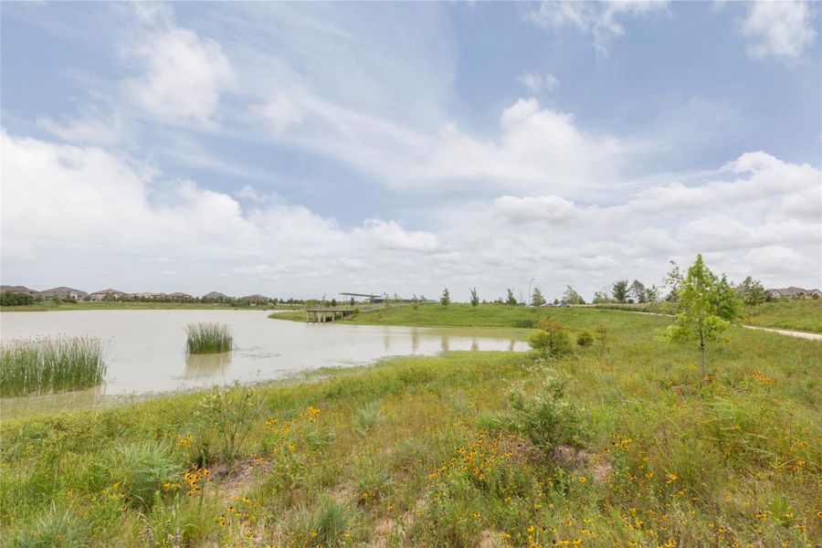 Natural landscape and outdoor views near Bridgeland in Cypress (Image 17). Natural landscape and outdoor views near Bridgeland in Cypress (Image 17).