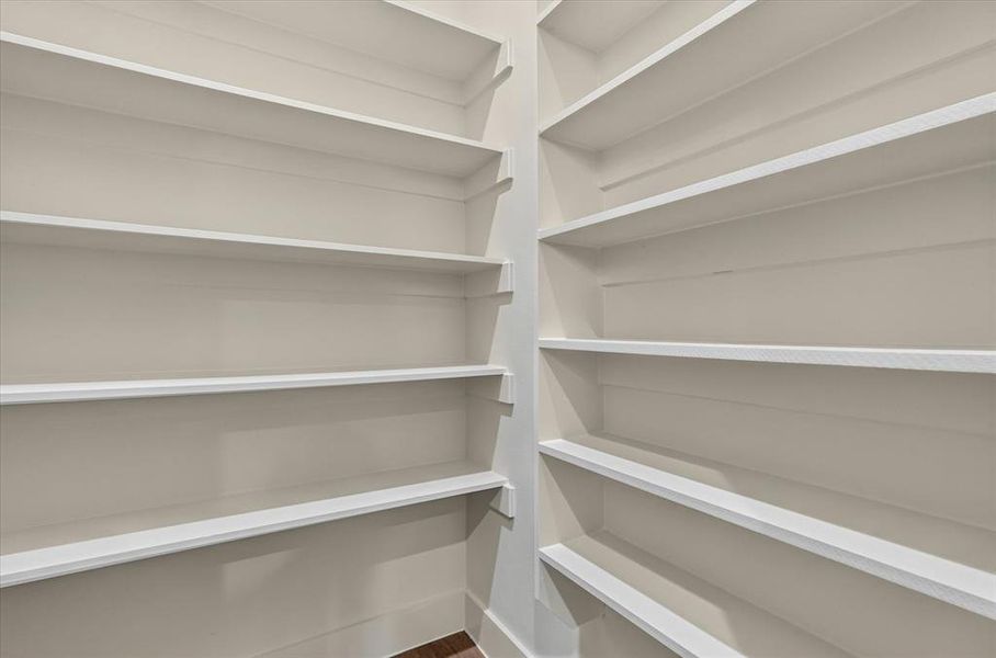 Expansive pantry featuring extensive built-in shelving, white painted finishes, and wood-finish flooring