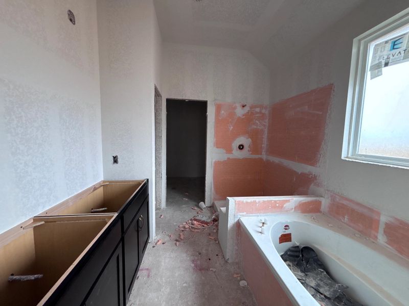 Primary bath Primary bath