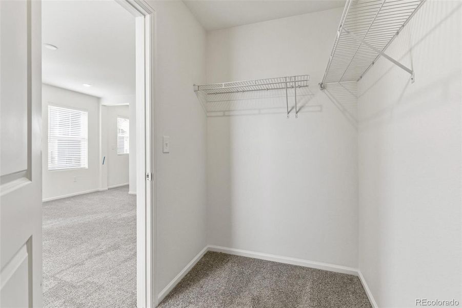 Spacious, unfurnished interior of a new home in Windsong, Brighton (Image 26). Spacious, unfurnished interior of a new home in Windsong, Brighton (Image 26).