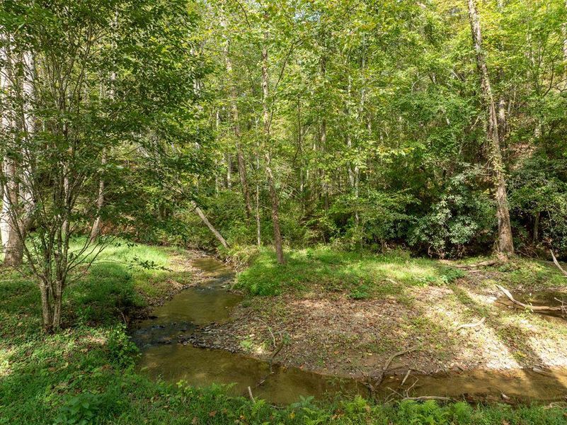 Natural landscape and outdoor views near  in Ellijay (Image 49).