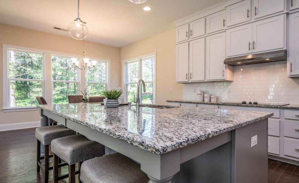 Representative furnished interior of a home built from the Augusta by Greybrook Homes in Shepherds Trace, Clover (Image 15).