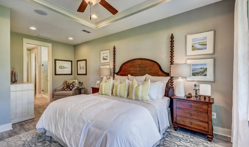 Tray ceiling in owner's suite