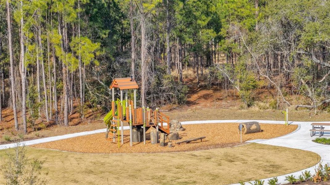 Community amenities in Avalon Woods, Winter Garden (Image 4).