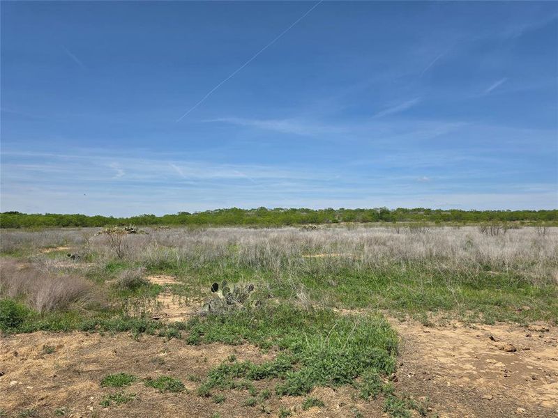 Natural landscape and outdoor views near  in San Saba (Image 17).