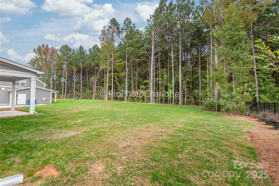 Natural landscape and outdoor views near  in Mooresville (Image 37).