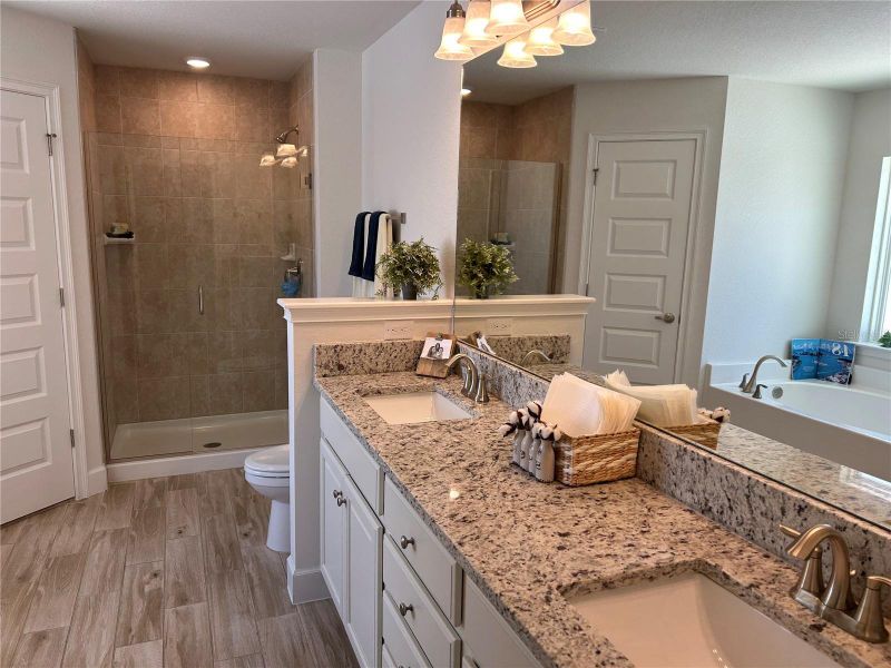 Furnished interior view inside a new home in Venice, Venice (Image 13).