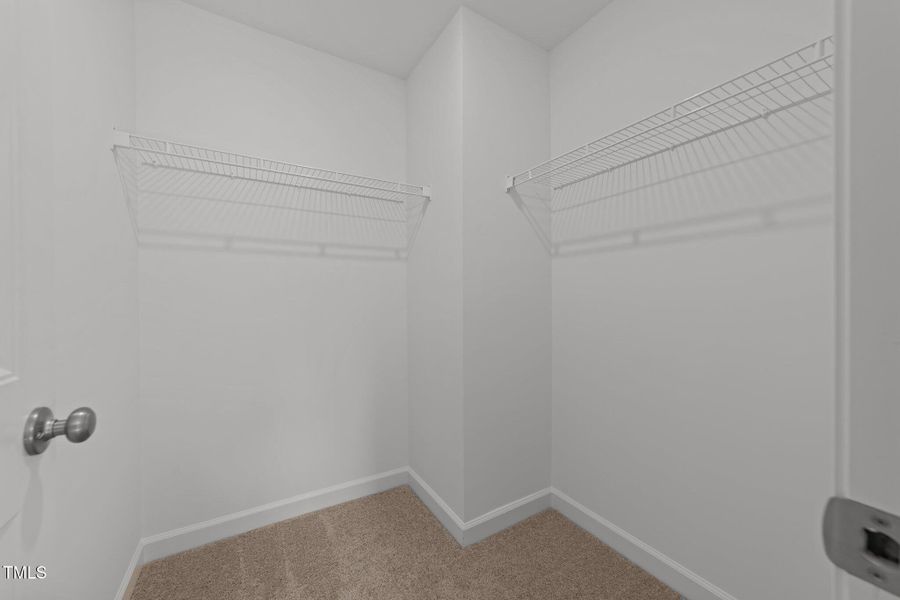 17-web-or-mls-3D5A4669