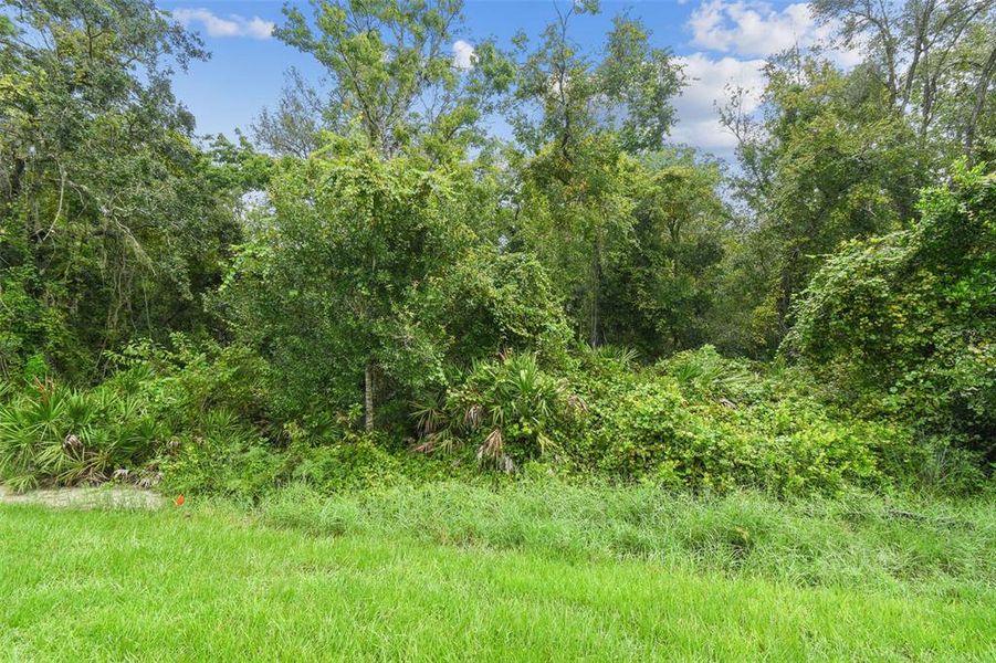 Image 82 of a home in Hidden Ridge.