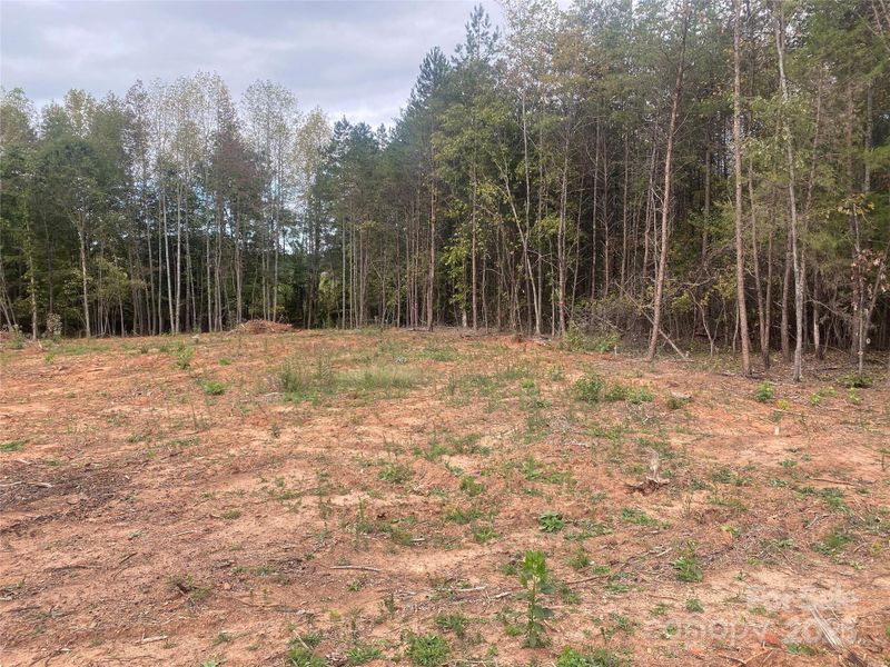 Natural landscape and outdoor views near in Forest City (Image 21). Natural landscape and outdoor views near in Forest City (Image 21).