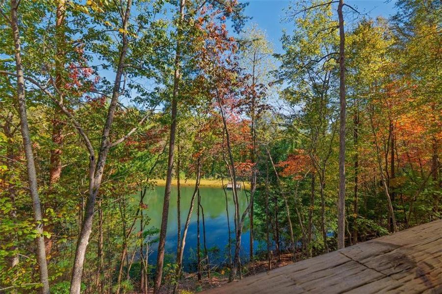 Natural landscape and outdoor views near  in Cherry Log (Image 21).