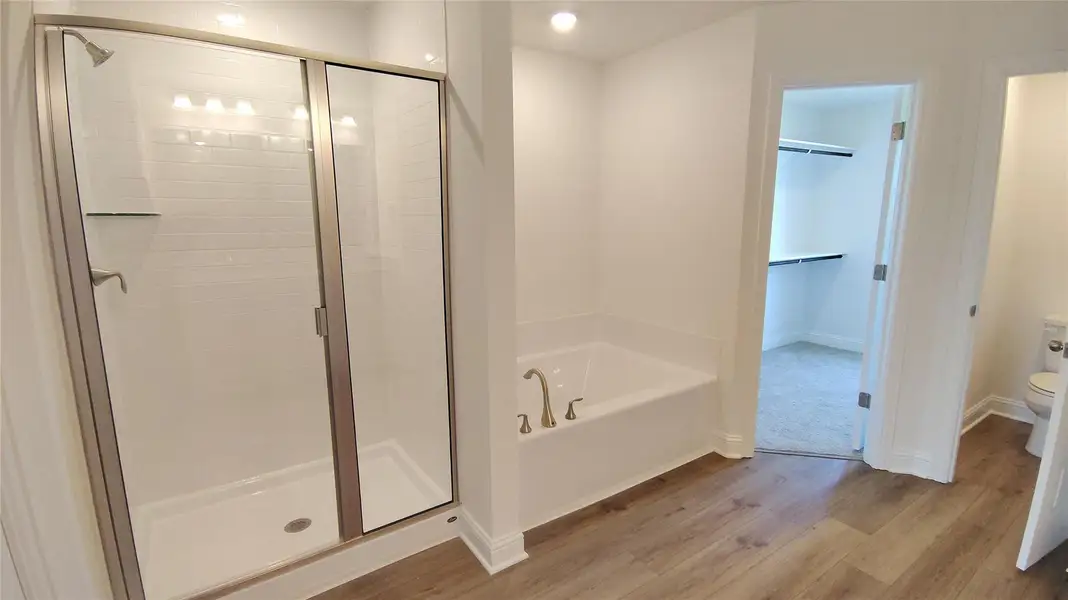 Large Garden soaking tub with separate spacious shower