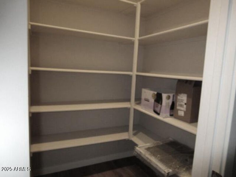 Walkin Pantry in Kitchen