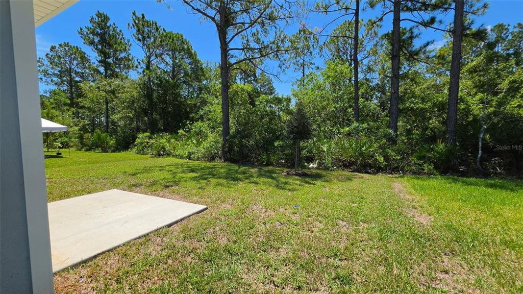 Exterior details and patio area of a home in , Palm Coast (Image 2). Exterior details and patio area of a home in , Palm Coast (Image 2).