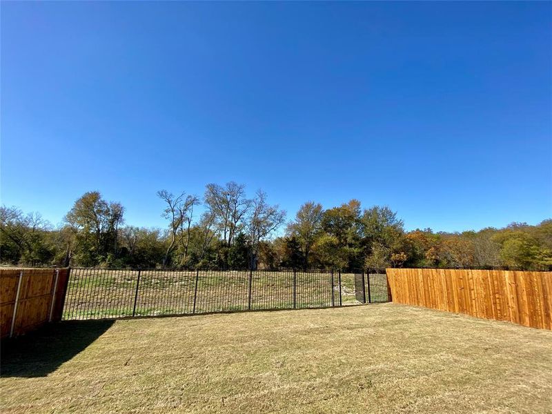 Awesome back yard overlooks serene Nature Area with wod privacy fence on sides and 6 ft iron fence with gate at rear.