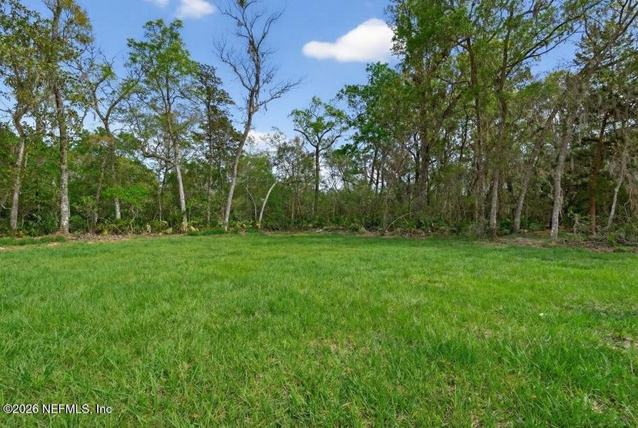Natural landscape and outdoor views near in Yulee (Image 111). Natural landscape and outdoor views near in Yulee (Image 111).