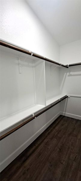 Spacious closet with dark wood-type flooring