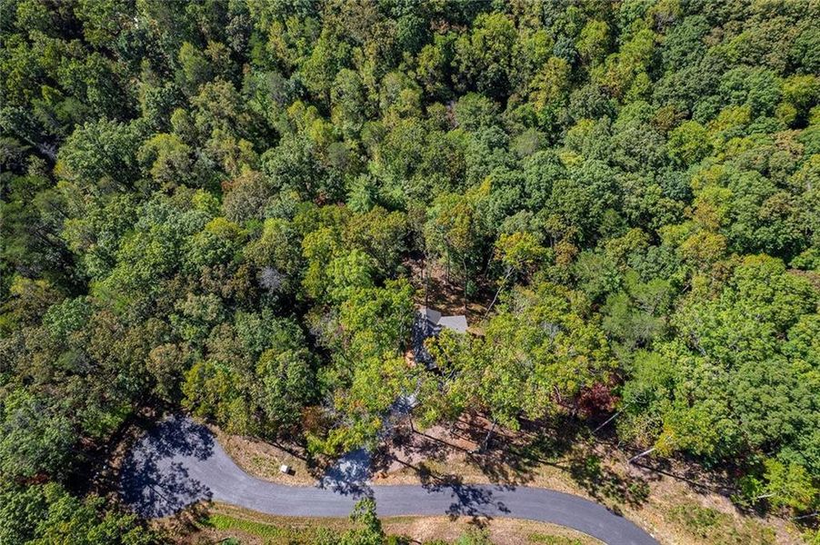 Natural landscape and outdoor views near  in Cherry Log (Image 24).