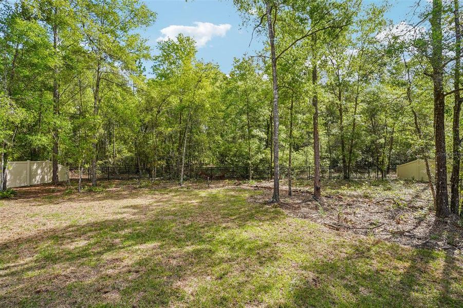 Natural landscape and outdoor views near  in Citrus Springs (Image 54).