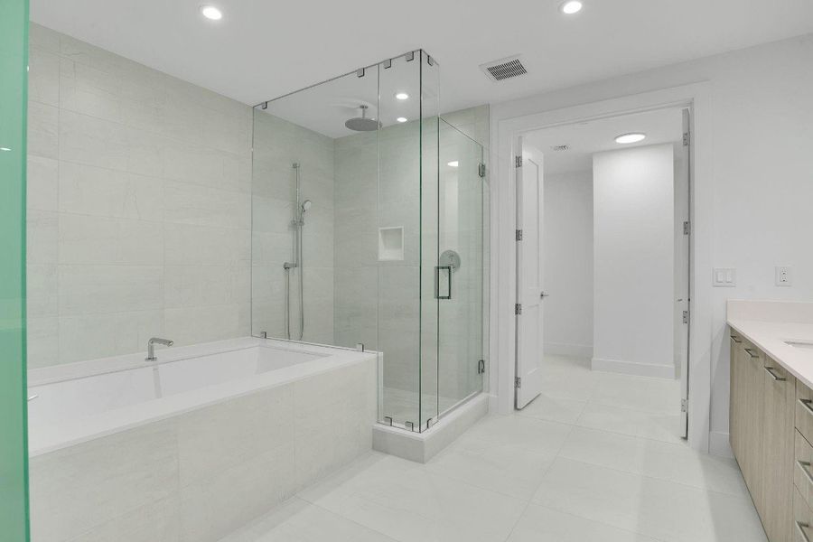 Owner's Suite Tub and Shower