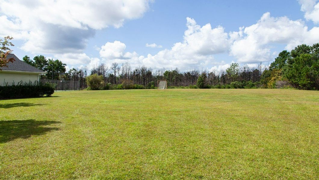 Natural landscape and outdoor views near Grayson Park in Leland (Image 28). Natural landscape and outdoor views near Grayson Park in Leland (Image 28).