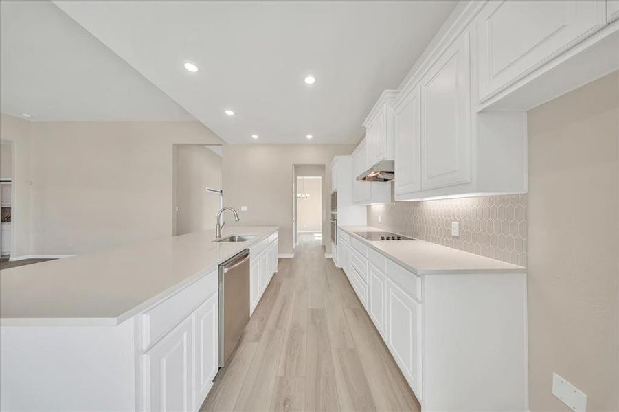 Kitchen featuring black electric stovetop, dishwasher, light wood-type flooring, under cabinet range hood, and white cabinetry Kitchen featuring black electric stovetop, dishwasher, light wood-type flooring, under cabinet range hood, and white cabinetry