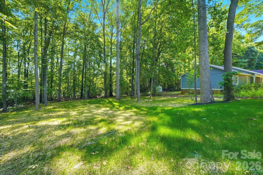 Natural landscape and outdoor views near  in Charlotte (Image 37).