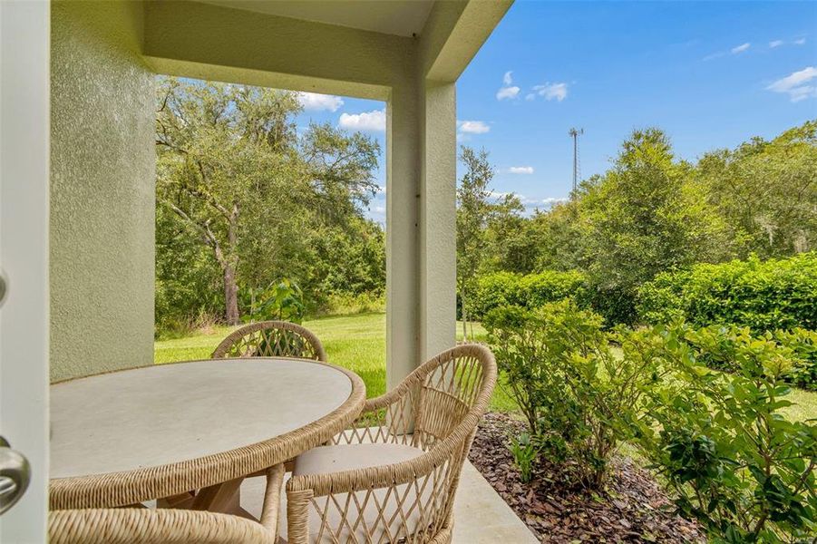 Exterior details and patio area of a home in , Land O' Lakes (Image 3).