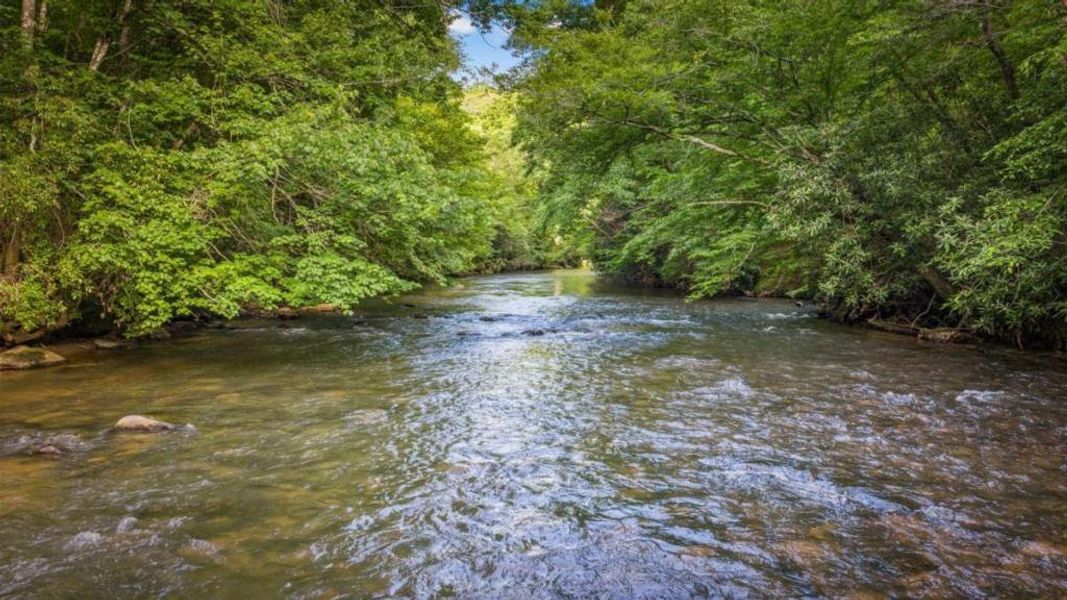 Natural landscape and outdoor views near  in McCaysville (Image 45).
