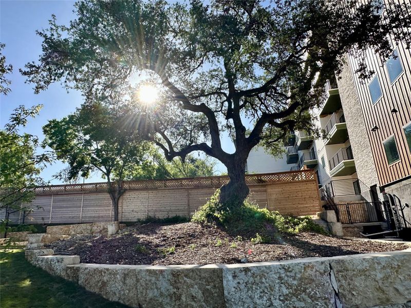 Natural landscape and outdoor views near in Austin (Image 32). Natural landscape and outdoor views near in Austin (Image 32).