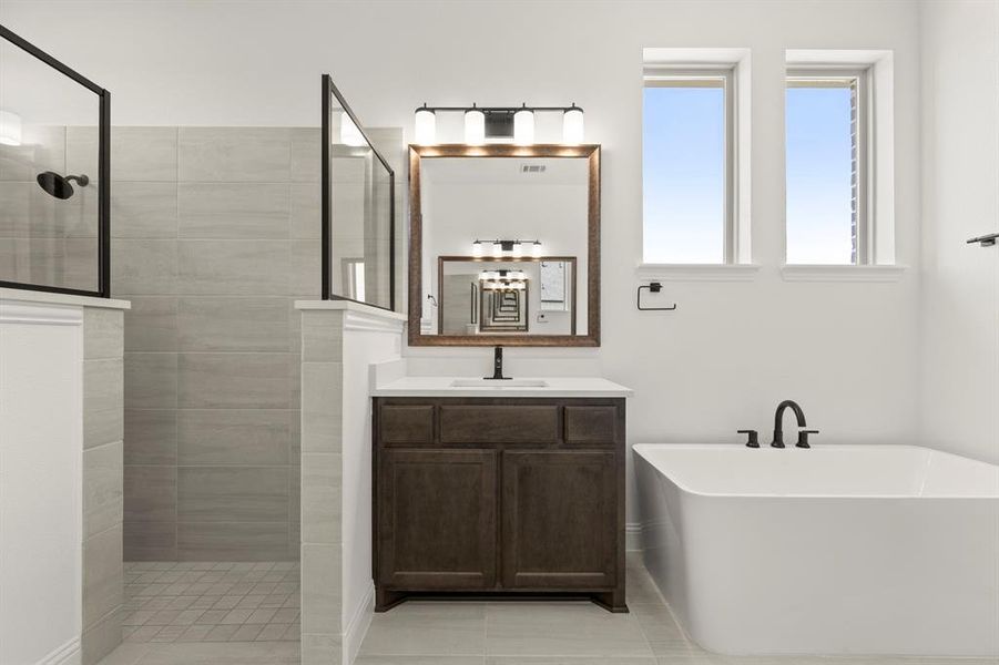 21. 409 Spoonbill - Bath (3)