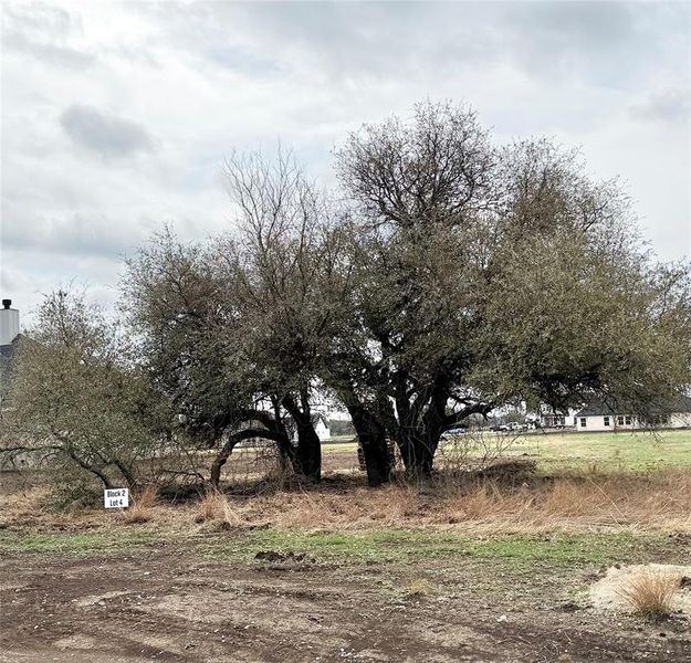 Natural landscape and outdoor views near  in Weatherford (Image 22).