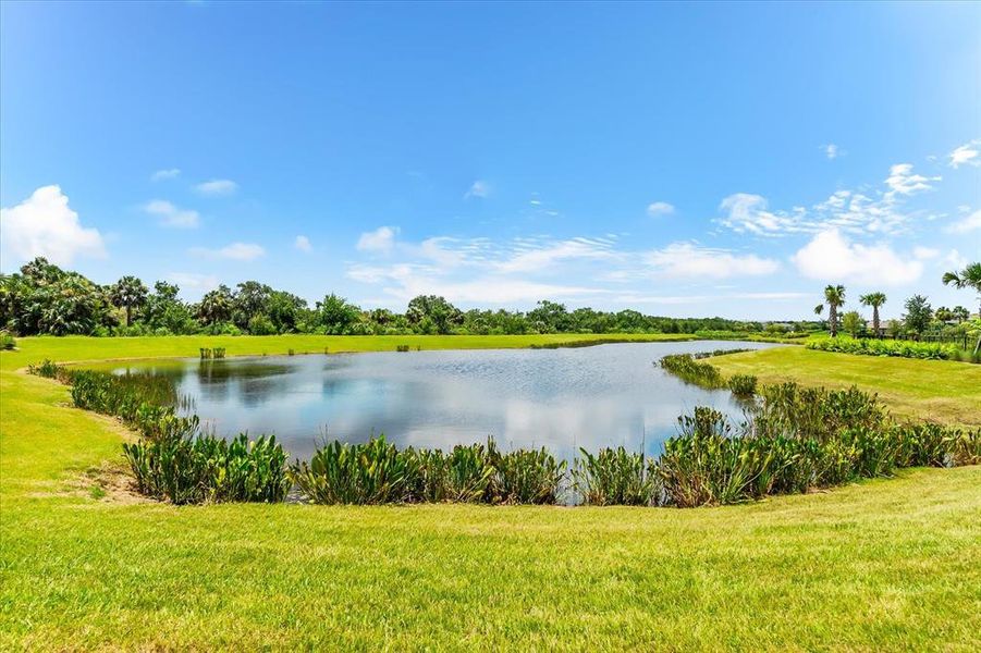 Natural landscape and outdoor views near  in Sarasota (Image 73).