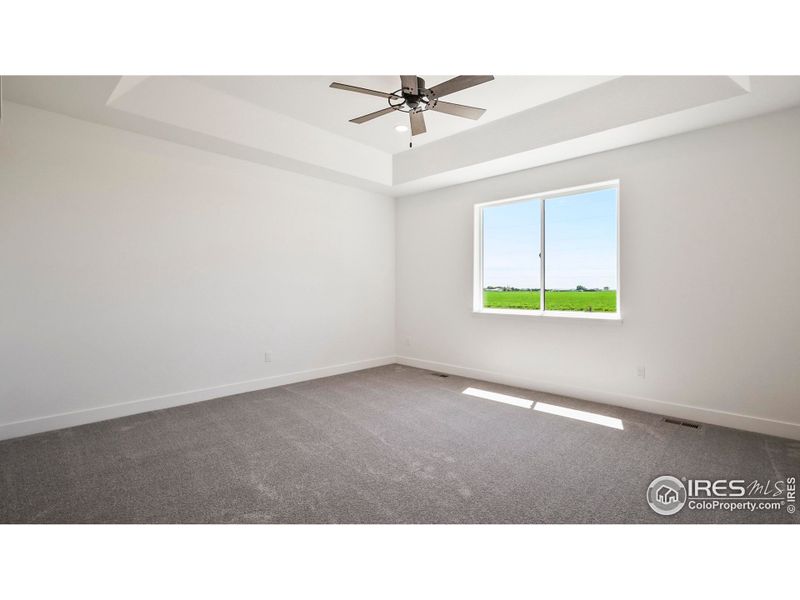 Tray ceilings & picture window in primary Tray ceilings & picture window in primary