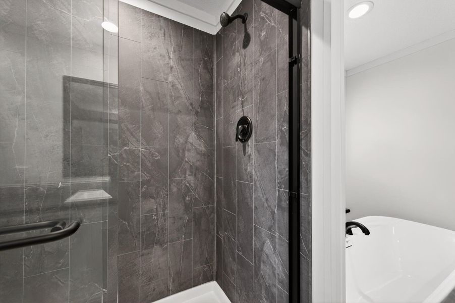 Furnished interior view inside a new home in , Eutawville (Image 7).