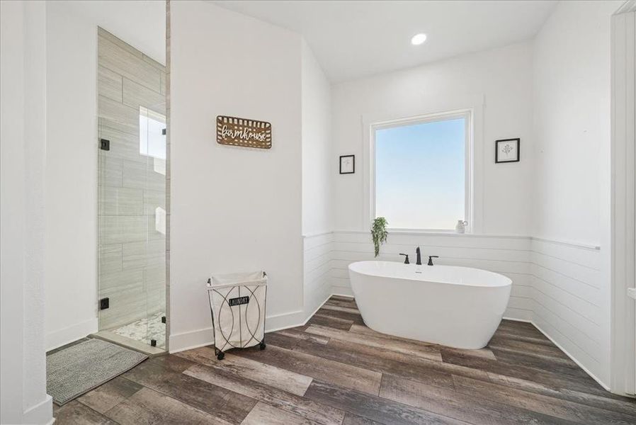 Bathroom featuring a freestanding bath, wainscoting, a shower stall, dark wood finished floors, and healthy amount of natural light
