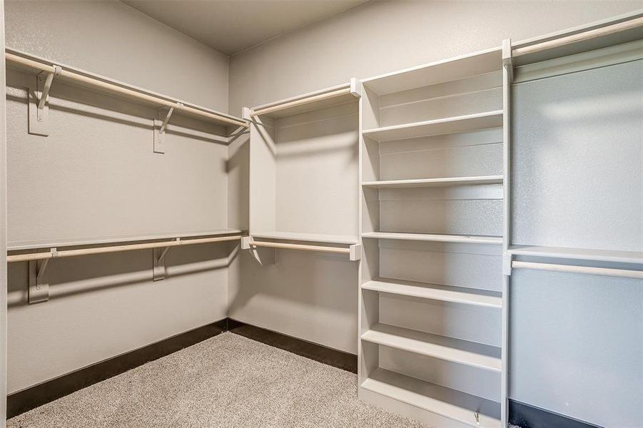 Spacious closet featuring carpet